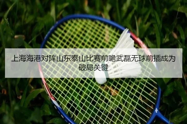 上海海港对阵山东泰山比赛前瞻武磊无球前插成为破局关键 | App